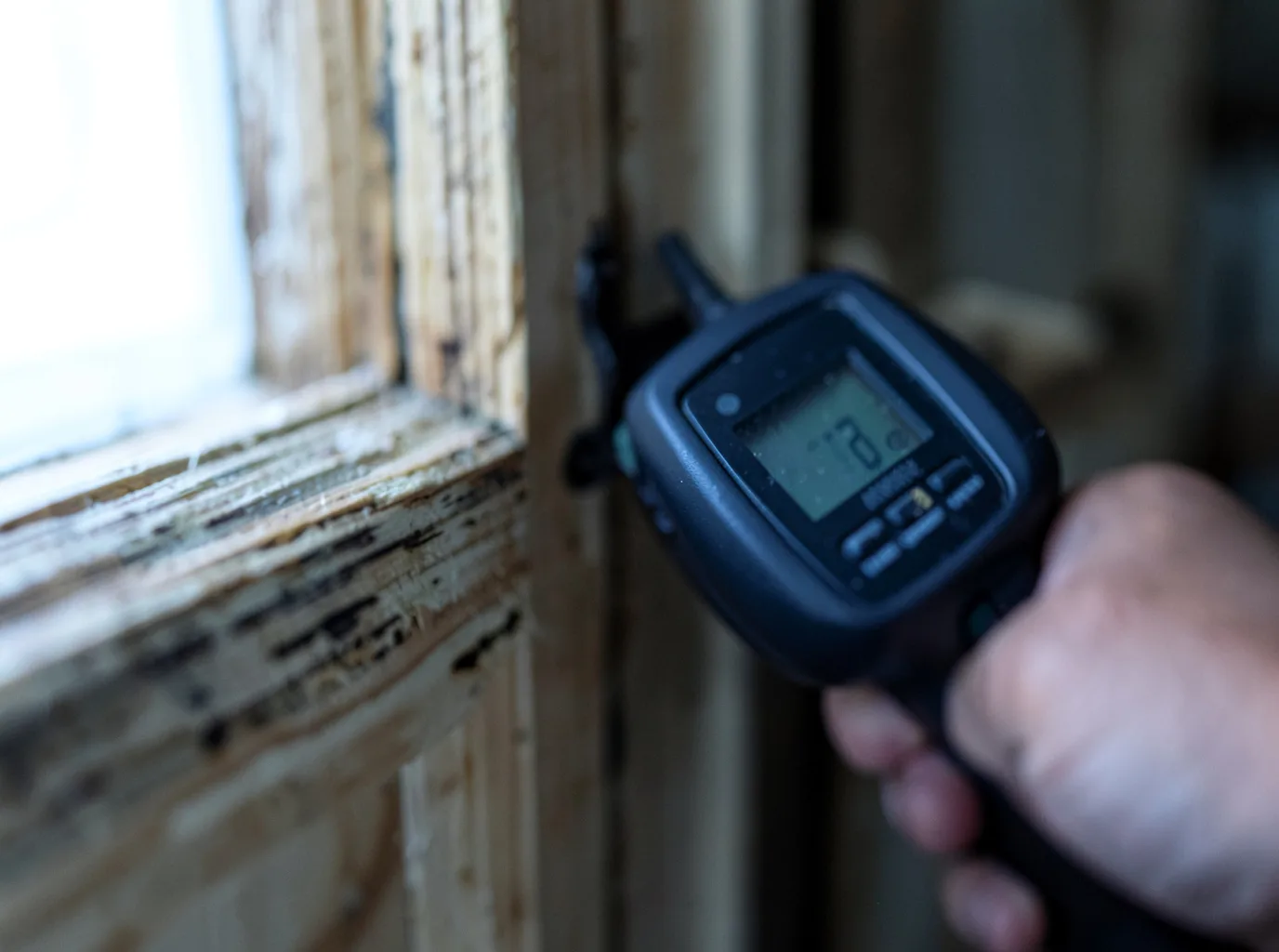 Commercial Water Damage Restoration in Williston Park, NY